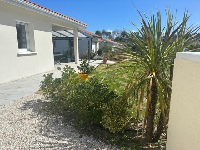 Belle Maison Malou Climatisee Calme, Piscine, Jacuzzi 3Km Plage Labenne Capbreton Εξωτερικό φωτογραφία
